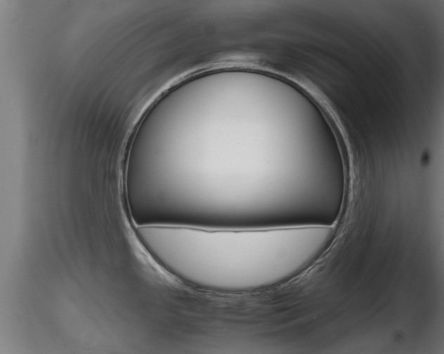 X0000116461341200912090918