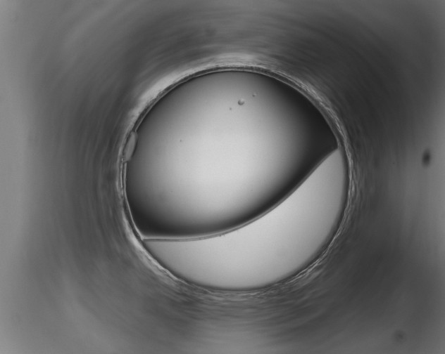 X0000116461342200912090918