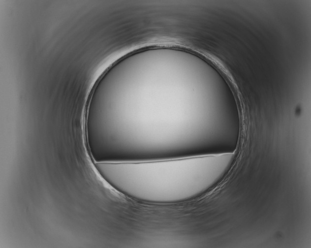X0000116461343200912090918