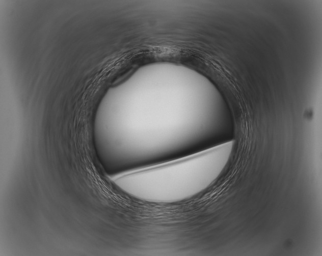 X0000116461345200912090918