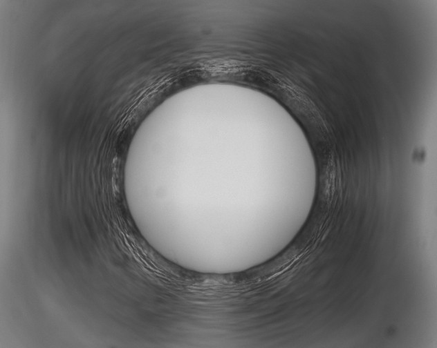X0000116461346200912090918