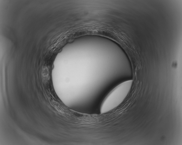 X0000116461347200912090917