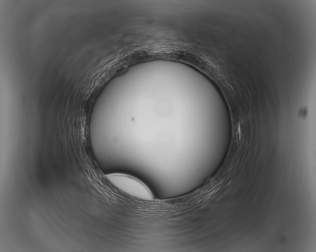 X0000116461348200912090917