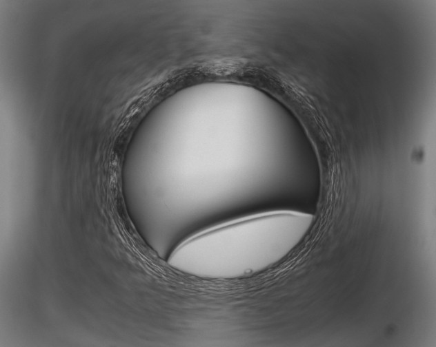 X0000116461349200912090917