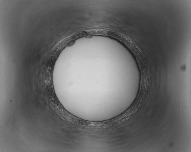 X0000116461350200912090917