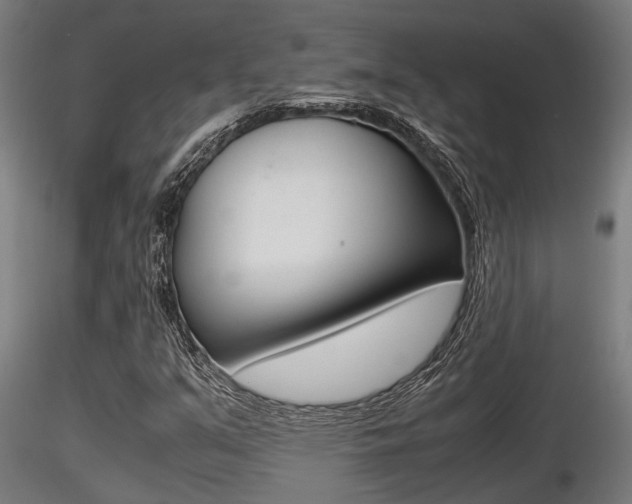 X0000116461351200912090917