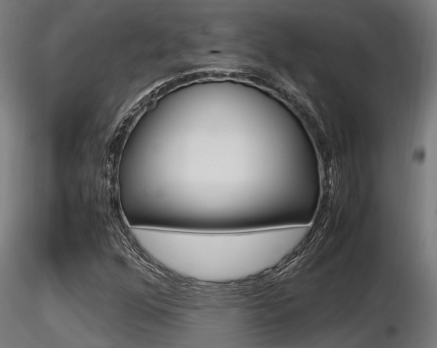 X0000116461352200912090917