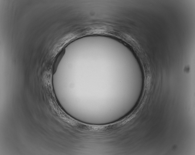 X0000116461353200912090917