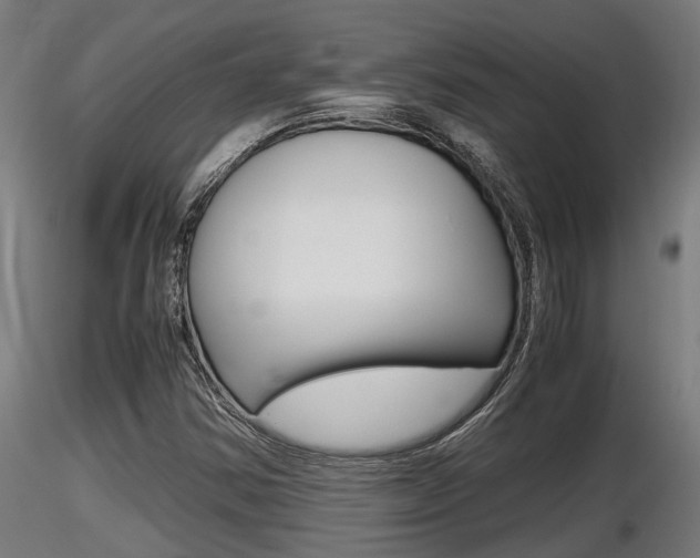 X0000116461354200912090917