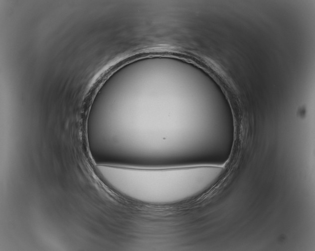 X0000116461356200912090917