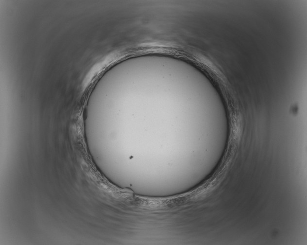 X0000116461357200912090917