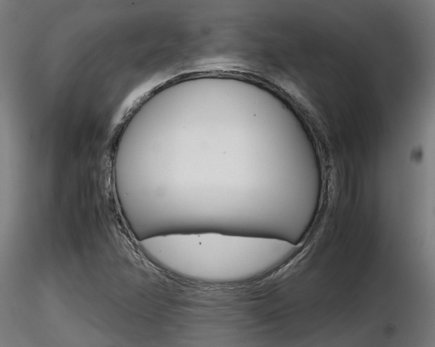 X0000116461358200912090917
