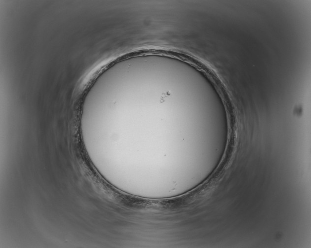 X0000116461359200912090917