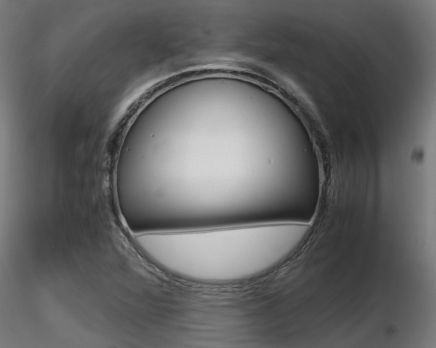X0000116461360200912090917