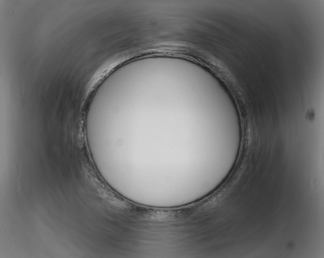 X0000116461362200912090917