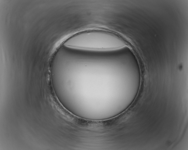 X0000116461363200912090917