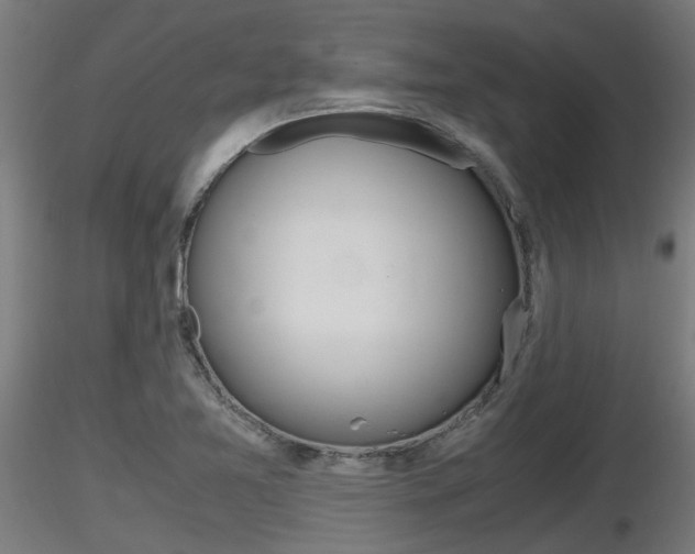 X0000116461365200912090917