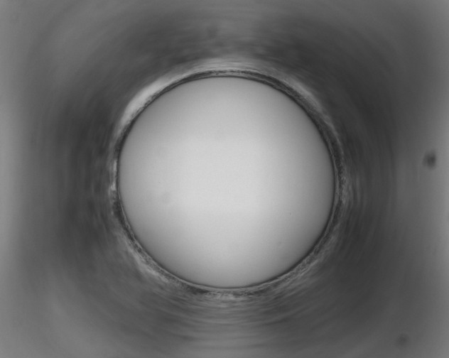 X0000116461366200912090917