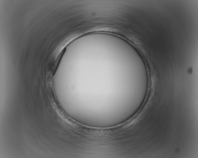 X0000116461369200912090917