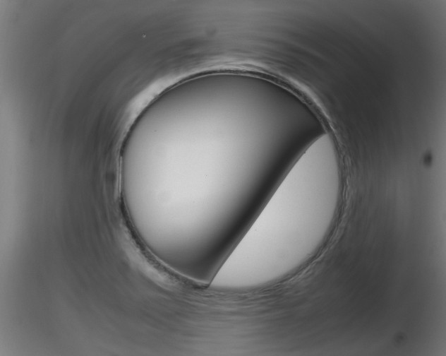 X0000116461371200912090917