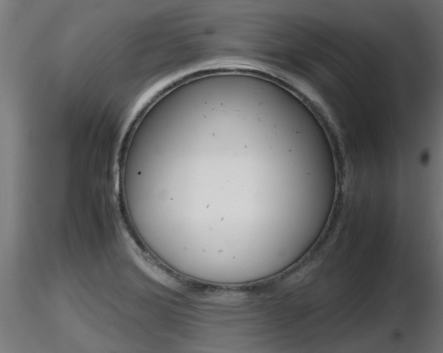 X0000116461372200912090917