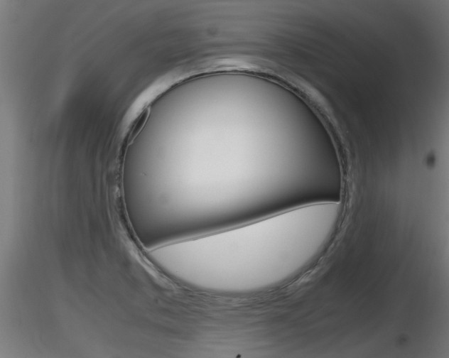 X0000116461373200912090917