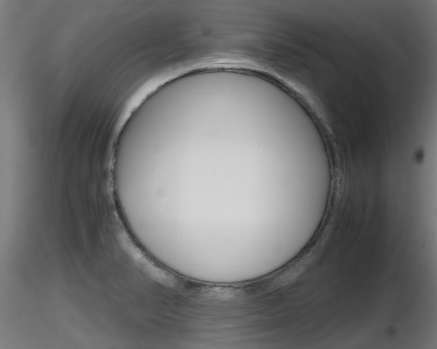 X0000116461374200912090917
