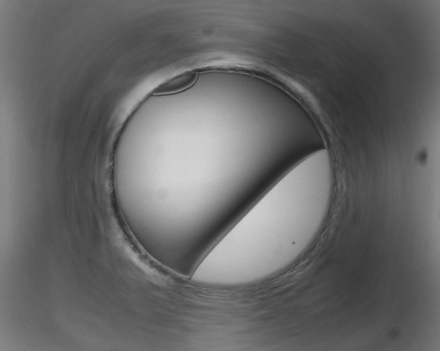 X0000116461375200912090917