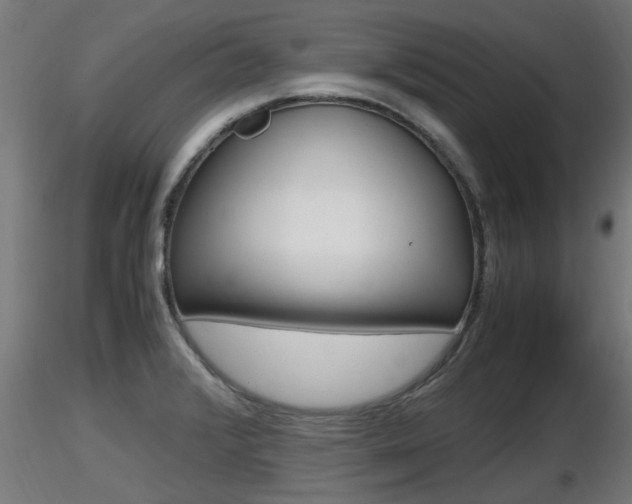 X0000116461376200912090917