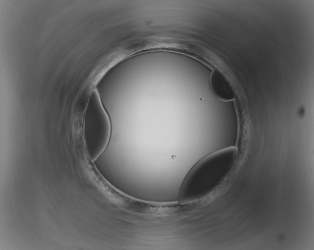 X0000116461377200912090917