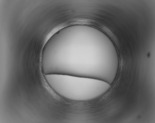 X0000116461378200912090917