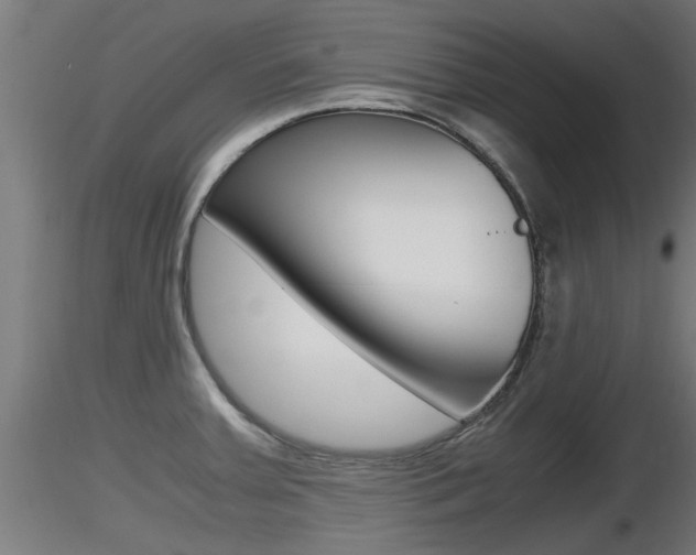 X0000116461379200912090917
