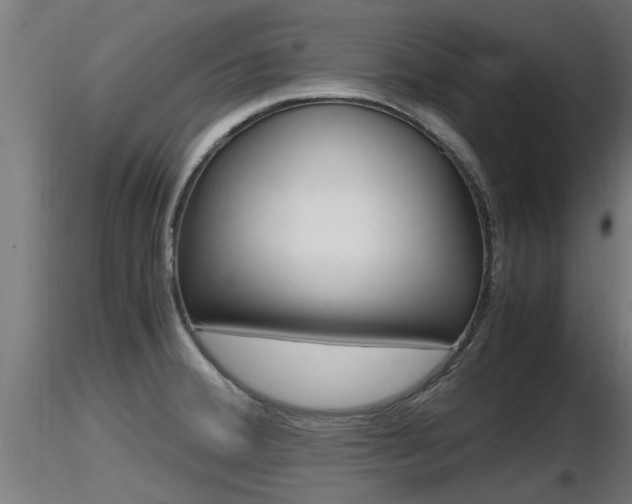 X0000116461380200912090917