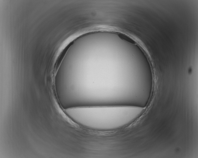 X0000116461381200912090917