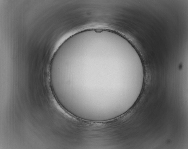 X0000116461382200912090917