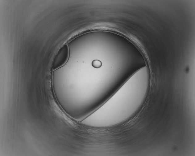 X0000116461384200912090917