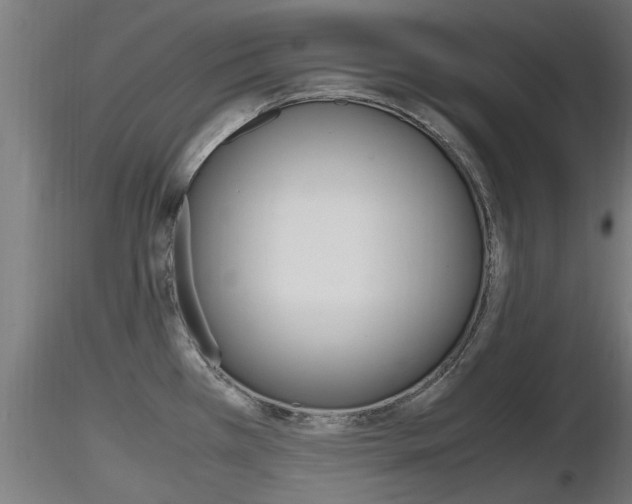 X0000116461385200912090917