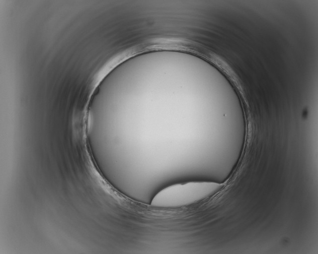 X0000116461386200912090917