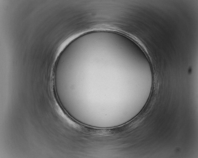 X0000116461387200912090917