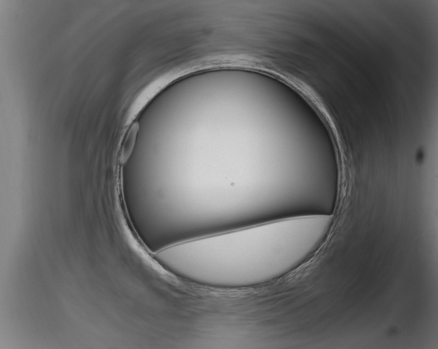 X0000116461389200912090917