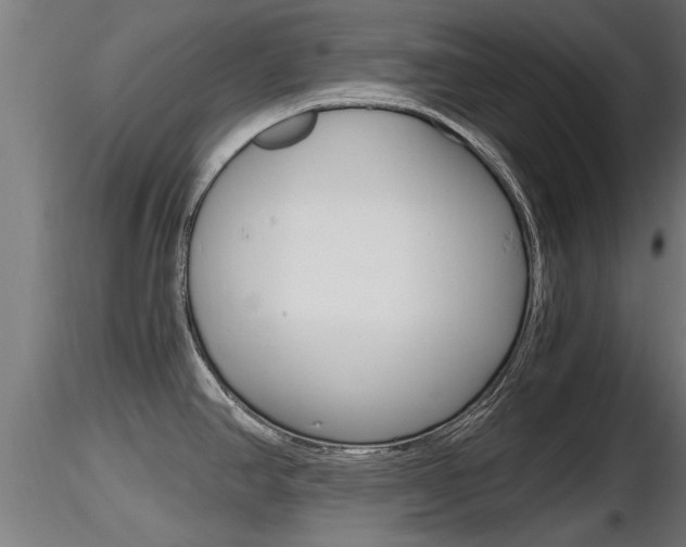 X0000116461390200912090917