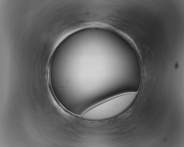 X0000116461391200912090917