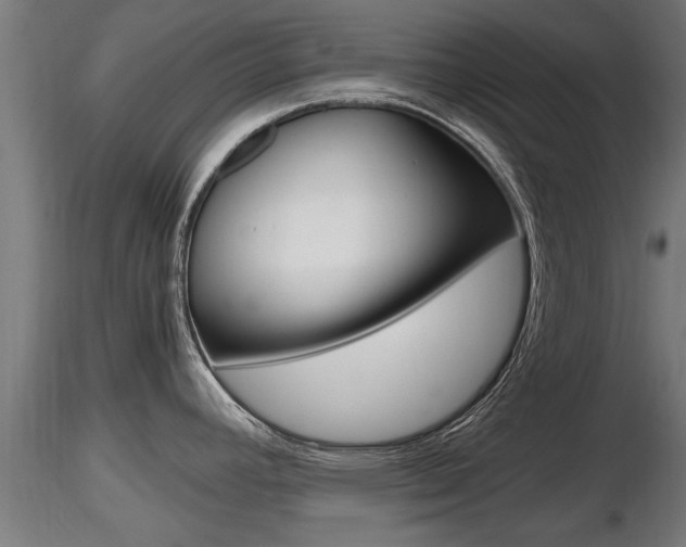 X0000116461392200912090917