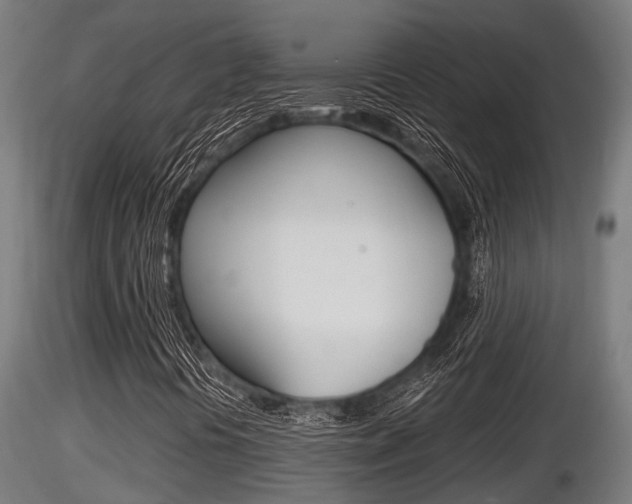 X0000116461394200912090916
