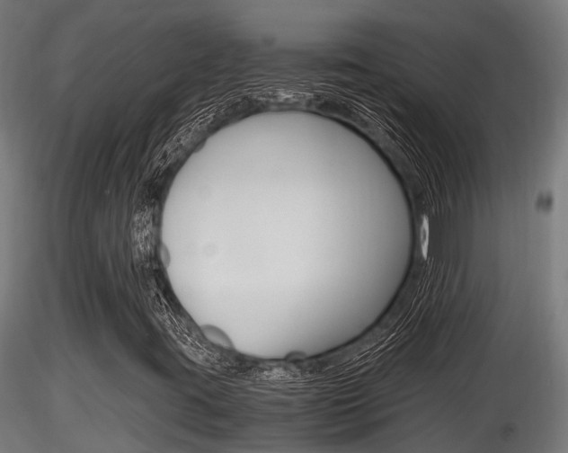 X0000116461395200912090916