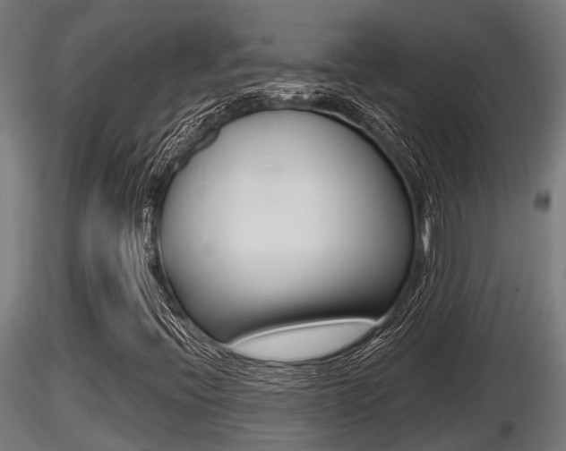 X0000116461396200912090916