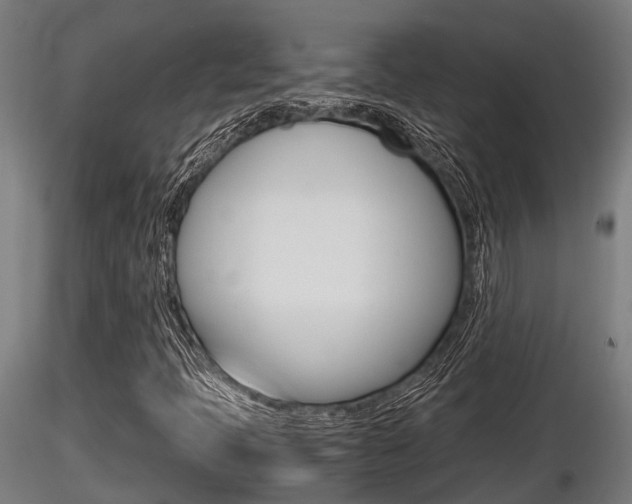 X0000116461397200912090916