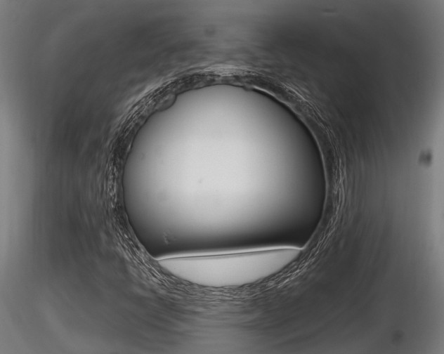 X0000116461398200912090916