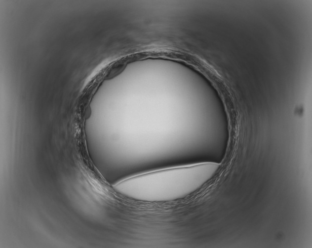 X0000116461400200912090916