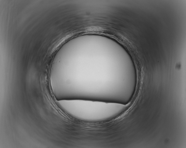 X0000116461401200912090916